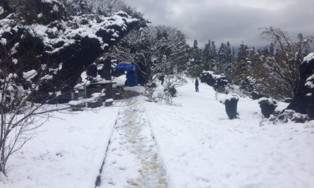 Experiences to travel Sapa in&nbsp;winter