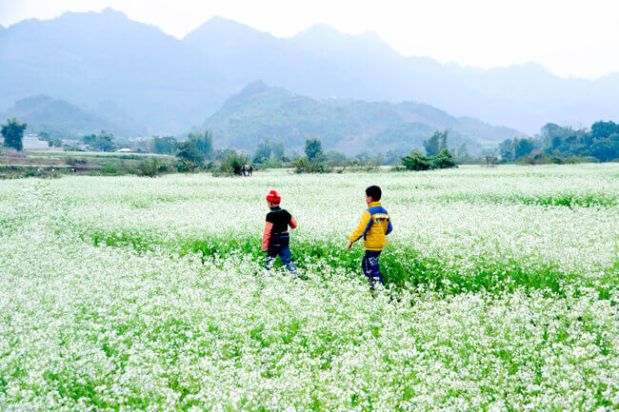 How to travel Moc Chau plateau in&nbsp;Vietnam