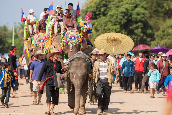elephant festival