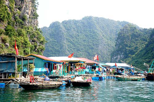 Cua Dai village